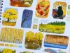 Xiami Original Kiss-Cut PET Tape Autumn Collage - Cats, Fall and Halloween