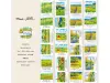 Miaostelle Washi Tape - Spring Travel 2