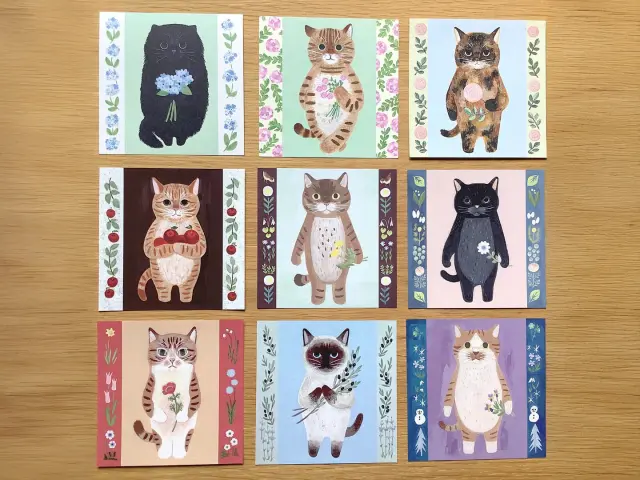 4Legs Notepaper Set - 30 Different Cats