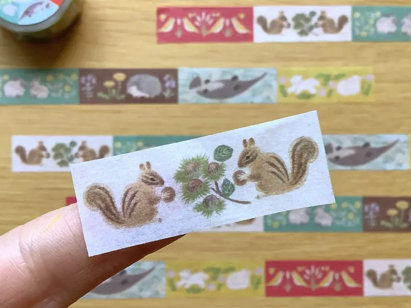 4Legs Washi Tape - Animals