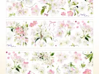 StudioVI Washi Tape Sample - Cherry Blossoms in Full Bloom