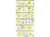 StudioVI Washi Tape Sample - Deckled Petals