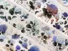 Pre-Order Baicangjia Studio Die-Cut Washi Tape - Hydrangea Garden