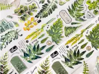 Pre-Order Baicangjia Studio Die-Cut Washi Tape - Fern Collection