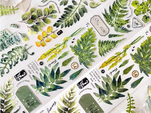 Pre-Order Baicangjia Studio Die-Cut Washi Tape - Fern Collection