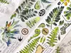 Pre-Order Baicangjia Studio Die-Cut Washi Tape - Fern Collection