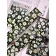 Pre-Order Xiaobaijia Washi Tape - Green Meadow