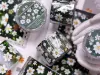 Pre-Order Xiaobaijia Washi Tape - Green Meadow
