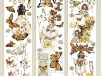 Inseason Studio Washi Tape Sample - Butterfly Box