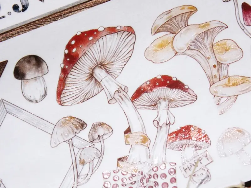 Time Grid Washi Tape Sample - Fairy Tale Mushroom