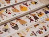 Pre-Order Wanle Studio Kiss-Cut Washi Tape - Radiance Girl