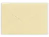 Pre-Order NB Co. Mini Letter Set RESSA Books - Sea Otter and Shell Madeleines
