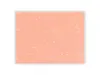 Pre-Order NB Co. Okurumi Mini Letter - Pink Cat