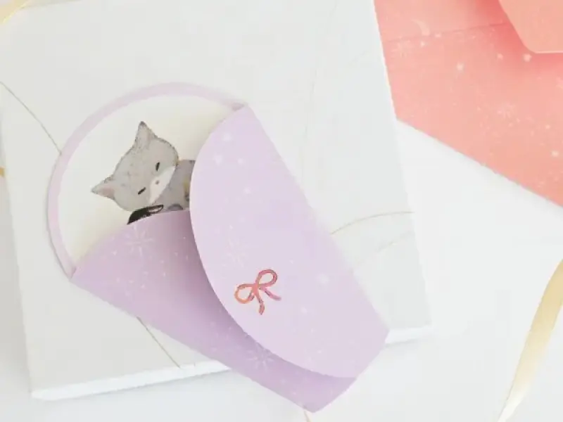 Pre-Order NB Co. Okurumi Mini Letter - Pink Cat