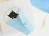 Pre-Order NB Co. Okurumi Mini Letter - Blue Cat