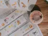 Pre-Order Meow Illustration Sunny Corner of The Forest Japanese Washi Tape With Kisscut