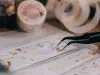 Pre-Order Meow Illustration Sunny Corner of The Forest Japanese Washi Tape With Kisscut