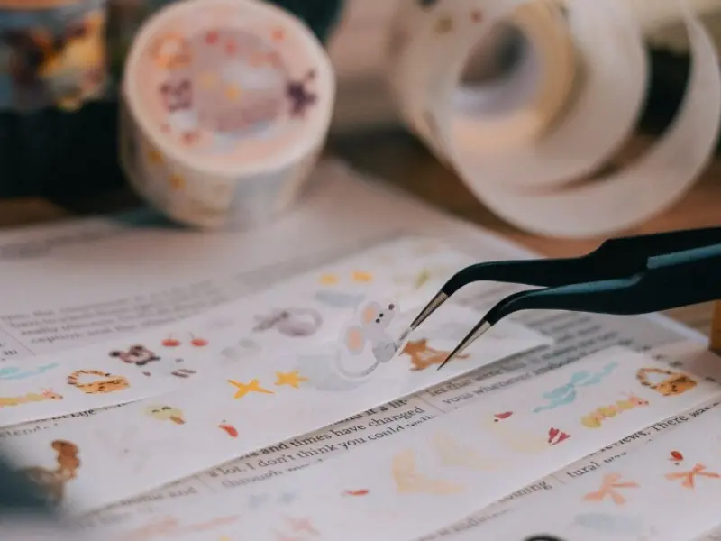Pre-Order Meow Illustration Sunny Corner of The Forest Japanese Washi Tape With Kisscut