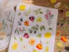 Pre-Order Meow Illustration Fruity Dream Clear PET Stickers