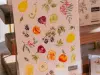 Pre-Order Meow Illustration Fruity Dream Clear PET Stickers