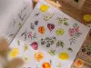 Pre-Order Meow Illustration Fruity Dream Clear PET Stickers