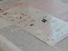 Pre-Order Meow Illustration Party in the Forest 2 Transparent Stickers