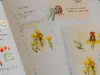Pre-Order Meow Illustration Whispers in the Flower Field 2 Washi Stickers
