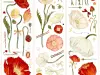 Reco Studio Washi Tape Sample - Poppy