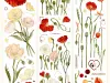 Reco Studio Washi Tape Sample - Poppy