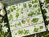 Zhaoxi Studio Washi Tape Sample - Clover And Flowers