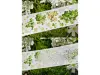 Zhaoxi Studio Washi Tape Sample - Clover And Flowers