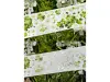 Zhaoxi Studio Washi Tape Sample - Clover And Flowers