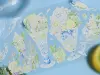 Shine Studio PET Tape Sample - Frozen Lemon Boba
