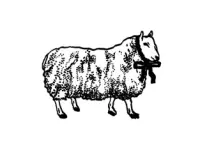 Pre-Order Kurukynki Wooden Rubber Stamp The Dream Ledger - Sheep