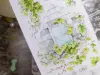 Wines Washi Tape Sample - Ivy Wall