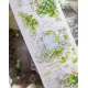 Wines Washi Tape Sample - Ivy Wall
