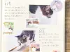 NB Co. Sticker Flakes Cat - Postage Stamp