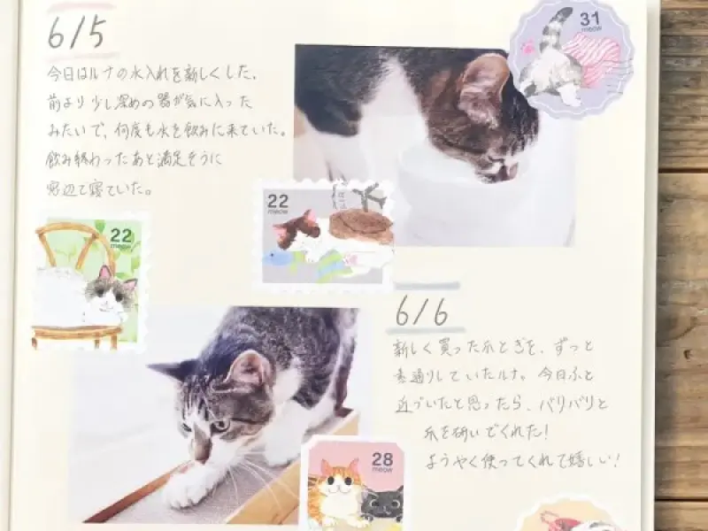 NB Co. Sticker Flakes Cat - Postage Stamp