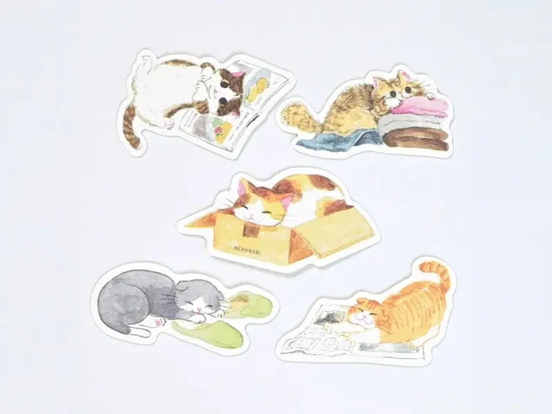 NB Co. Sticker Flakes Cat - Everyday Moments