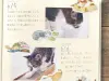 NB Co. Sticker Flakes Cat - Everyday Moments