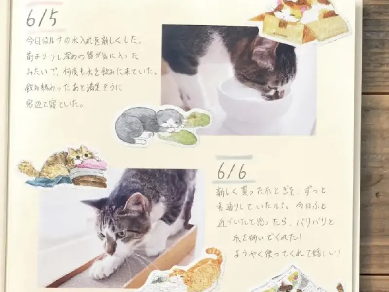 NB Co. Sticker Flakes Cat - Everyday Moments