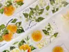 Pre-Order Baicangjia Studio Die-Cut Washi Tape - Tangerine Blossoms