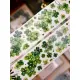 Pre-Order Xiaobaijia Kiss-Cut Washi Tape - Four-Leaf Clover