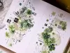 Pre-Order Xiaobaijia Kiss-Cut Washi Tape - Four-Leaf Clover