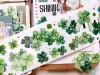 Pre-Order Xiaobaijia Kiss-Cut Washi Tape - Four-Leaf Clover