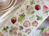 Pre-Order Baicangjia Studio Die-Cut Washi Tape - Wild Charm