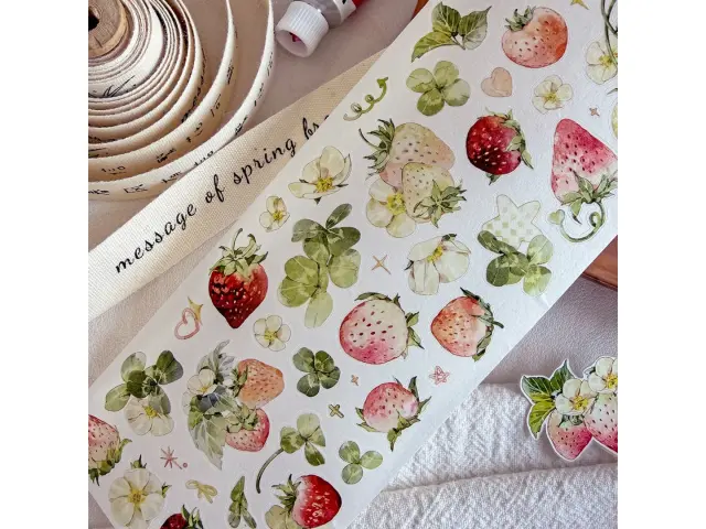 Baicangjia Studio Die-Cut Washi Tape - Wild Charm