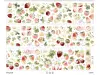 Pre-Order Baicangjia Studio Die-Cut Washi Tape - Wild Charm