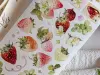 Pre-Order Baicangjia Studio Die-Cut Washi Tape - Wild Charm