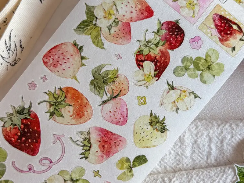 Pre-Order Baicangjia Studio Die-Cut Washi Tape - Wild Charm